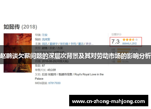 赵鹏谈欠薪问题的深层次背景及其对劳动市场的影响分析