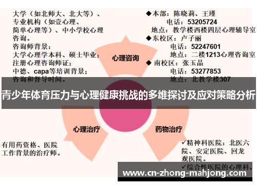 青少年体育压力与心理健康挑战的多维探讨及应对策略分析