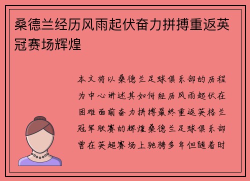 桑德兰经历风雨起伏奋力拼搏重返英冠赛场辉煌 桑德兰经历风雨起伏奋力拼搏重返英冠赛场辉煌